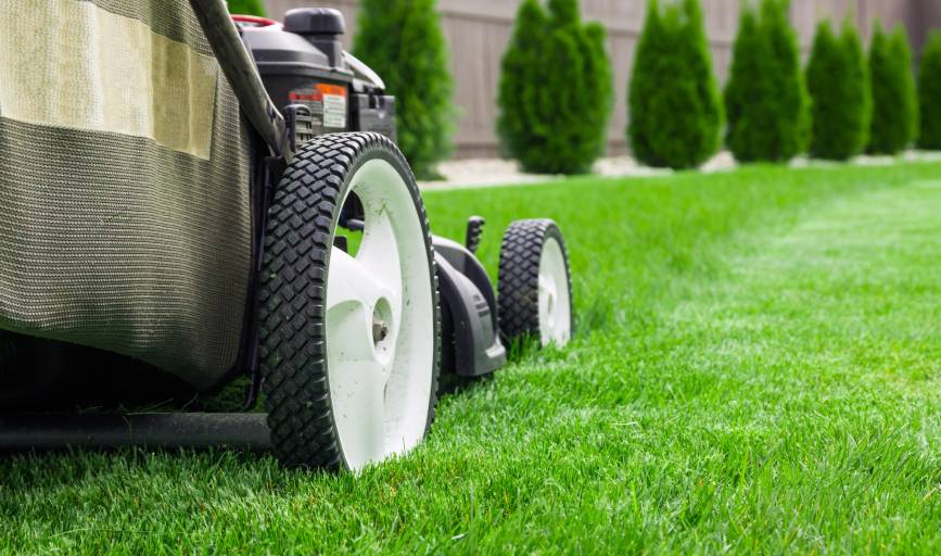 Lawn Mowing
